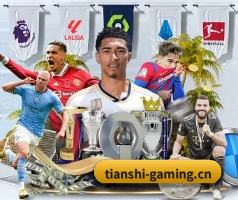 天狮娱乐gaming APP